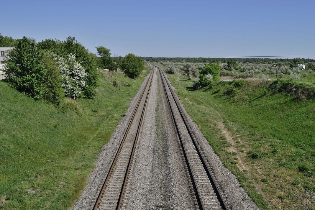 spzaczarnie.edu (19)