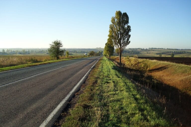 Agroturystyka z warsztatami cukierniczymi