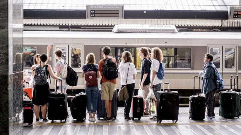 Gospodarstwa winne, które zachwycają nie tylko smakiem