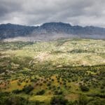 spzaczarnie.edu (106)