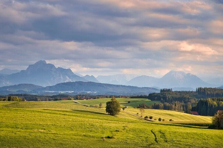 Wschodnioeuropejskie perełki – winnice Mołdawii, Ukrainy i Rumunii