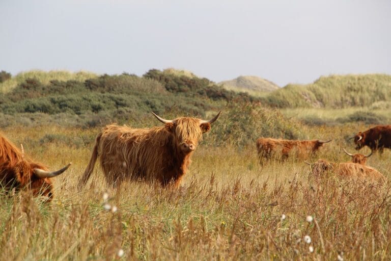 Agroturystyka dla enoblogerów – winnice, które trzeba znać