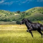 Agroturystyka poza sezonem – jak znaleźć perełki?