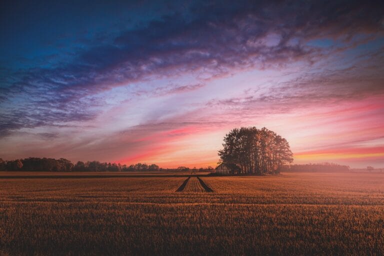 Jak fotografować winnice, by zdjęcia zapierały dech?