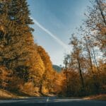 spzaczarnie.edu (94)