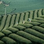 spzaczarnie.edu (99)