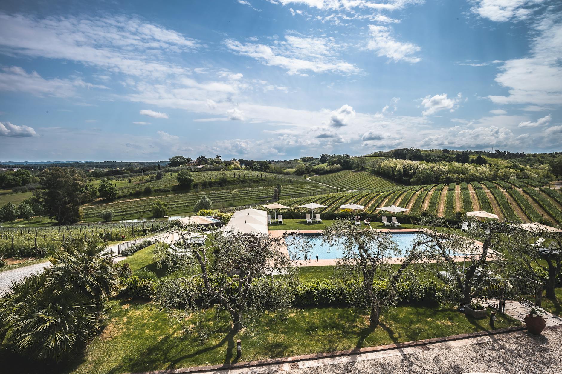 Basen wśród wzgórz winnic w Toskanii widziany z lotu ptaka