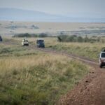 Sawanna afrykańska z dzikimi zwierzętami podczas safari