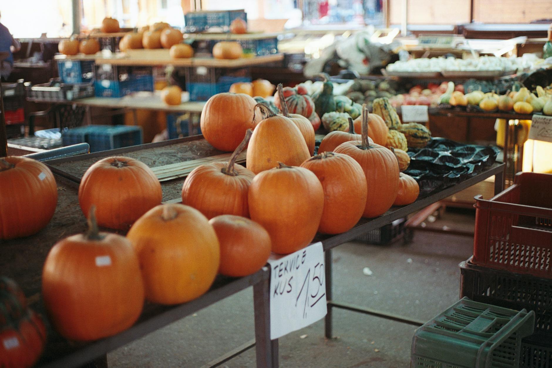 Jesienne dynie na straganie targu pod gołym niebem