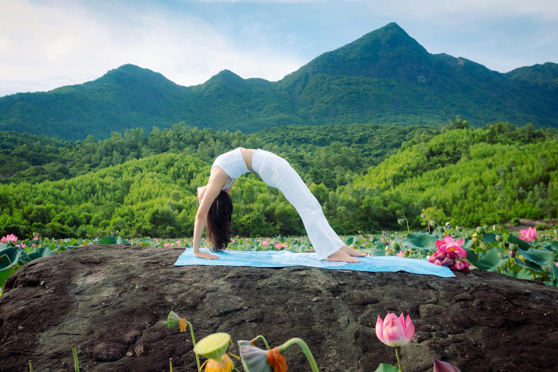 Kobieta ćwiczy jogę wśród pól lotosu z górami w tle w Wietnamie