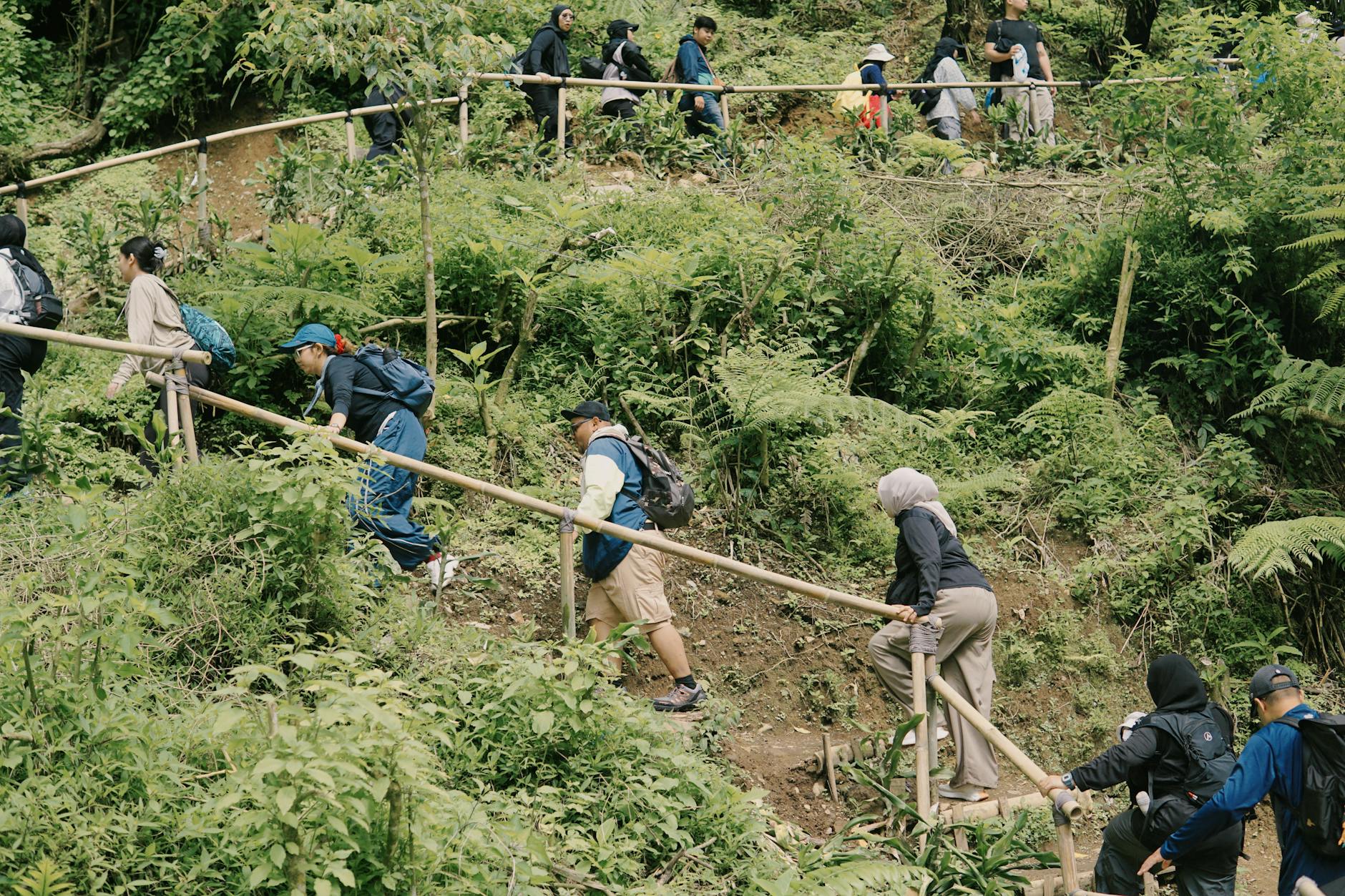 Na tropie wilka: jak planować wycieczki po lesie podczas pobytu na wsi Turysta spaceruje po lesie podczas tropienia wilków