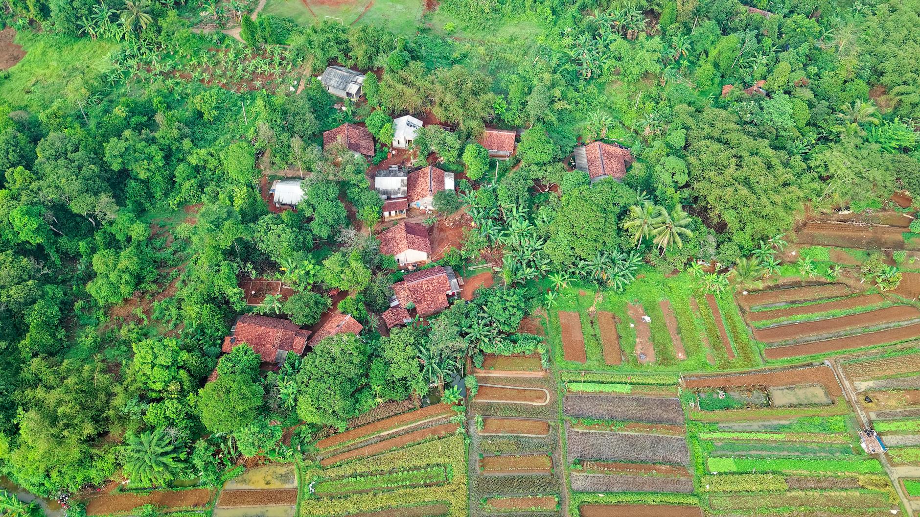 Tropikalna wieś pośród pól uprawnych z lotu ptaka
