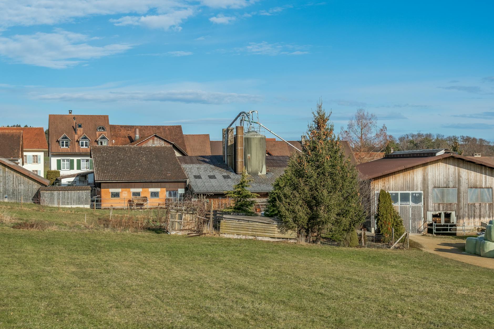 Wiejska osada z zabudowaniami gospodarczymi i zielonymi polami pod błękitnym nie
