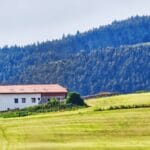 Białe gospodarstwo wśród zielonych wzgórz u podnóża leśnego stoku